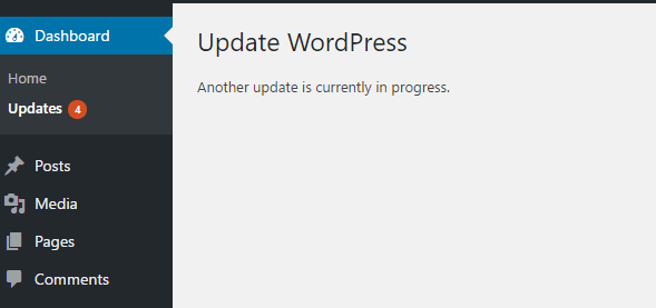 another update is currently in progress