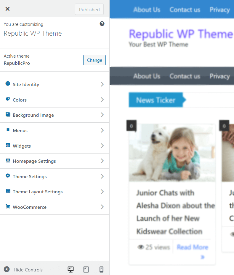 Republic theme customizer